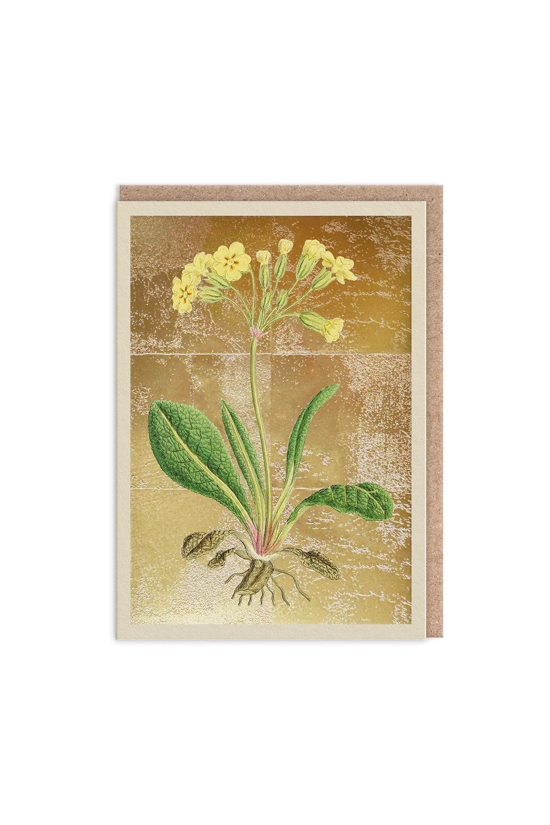 Ohh Deer Cowslip Greeting Card