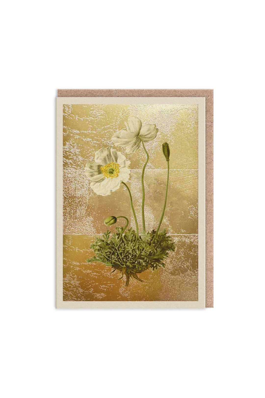 Ohh Deer Papaver Alpinum Greeting Card