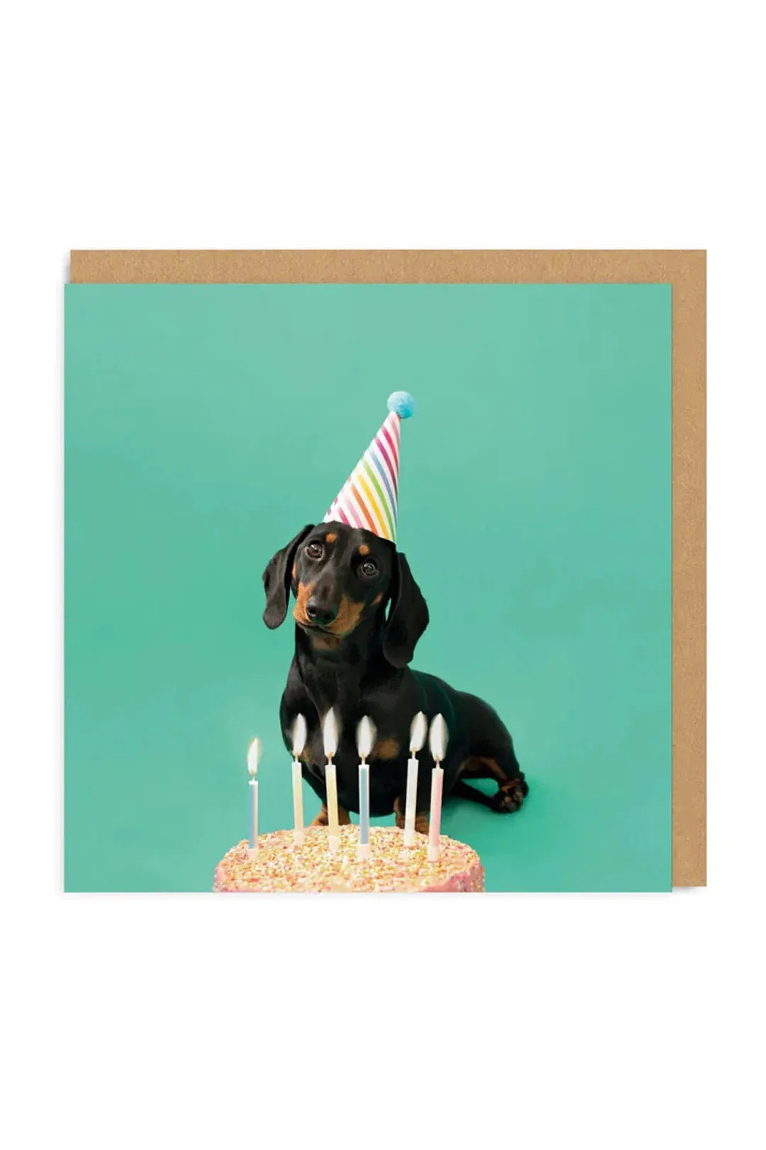 Ohh Deer Scout Party Hat Greeting Card