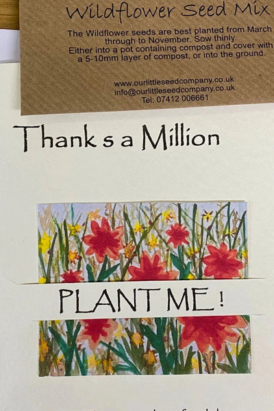Our Little Seed Company Thank You Orange Flowers Card-Gifts-Ohh! By Gum - Shop Sustainable