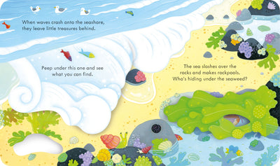 Peep Inside The Seashore (Board)-Books-Ohh! By Gum - Shop Sustainable