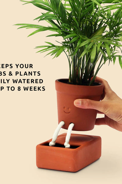 Pikkii Self Care Planter-Gifts-Ohh! By Gum - Shop Sustainable
