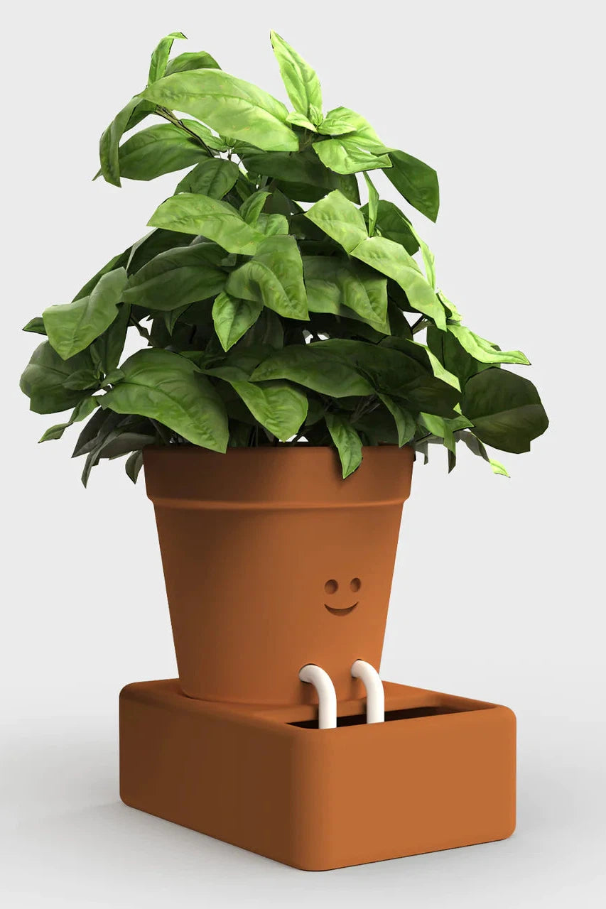 Pikkii Self Care Planter-Gifts-Ohh! By Gum - Shop Sustainable
