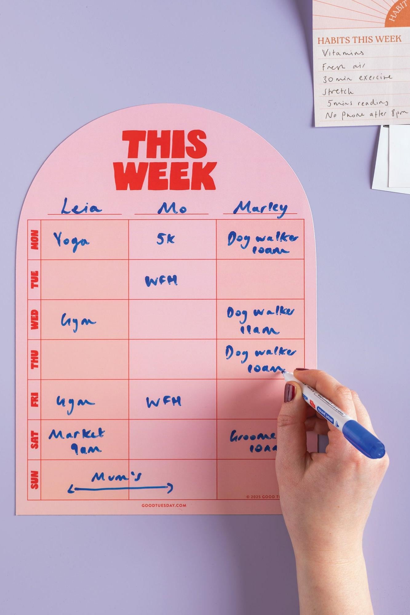 Weekly planner with handwritten tasks on a purple wall, held by a hand with a marker.