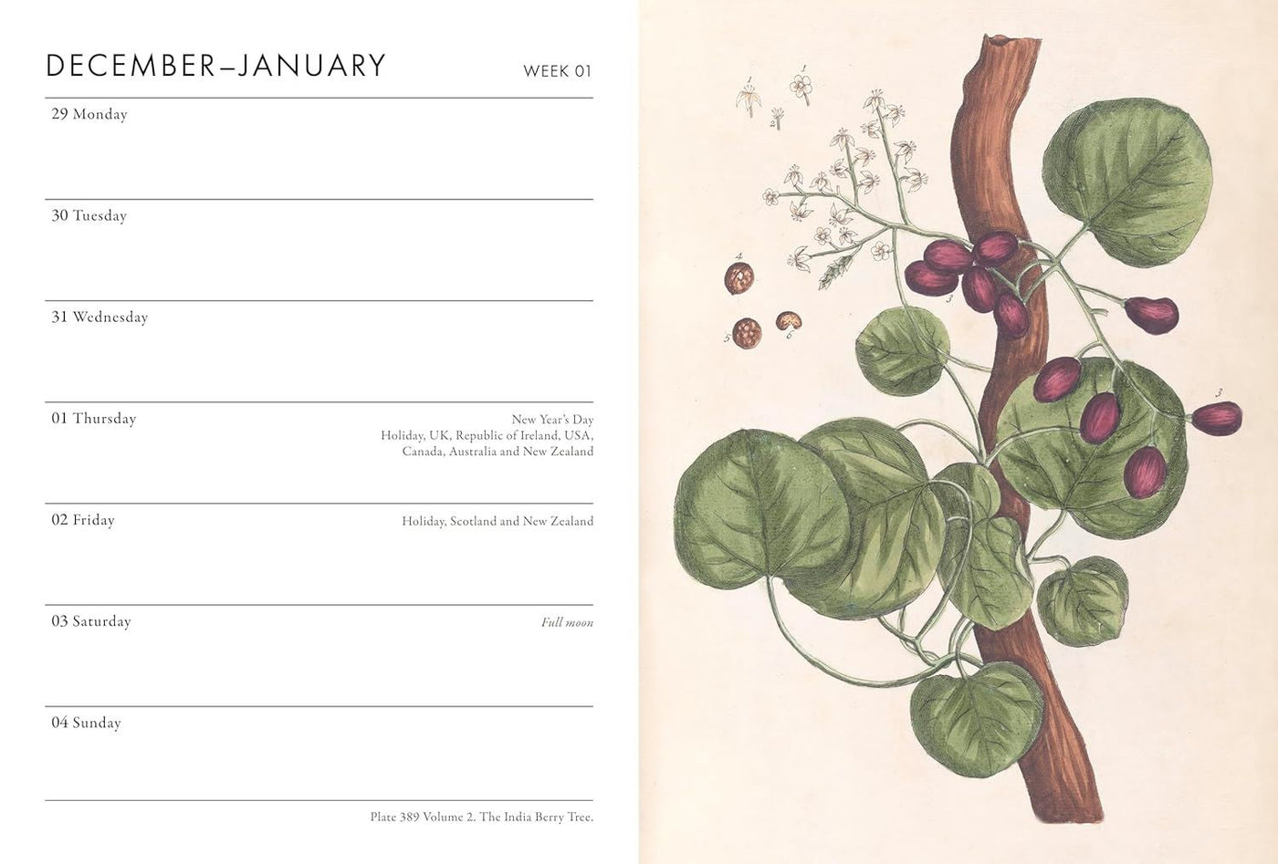 Calendar page with botanical illustration of a leafy branch and berries on a beige background.