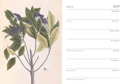 Calendar page with botanical illustration of a plant on the left and calendar layout on the right.