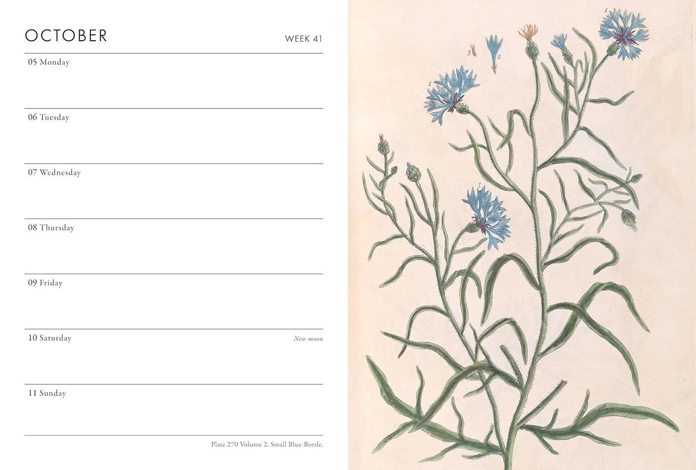 Calendar page for October with floral design on the right side