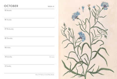 Calendar page for October with floral design on the right side
