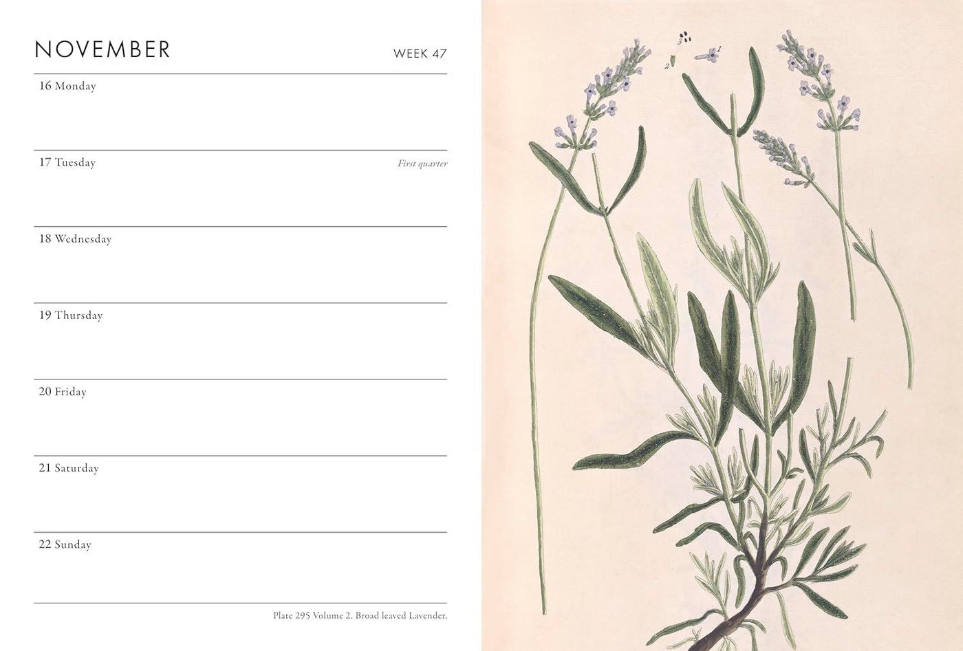 Weekly planner with botanical illustration on a beige background