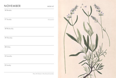 Weekly planner with botanical illustration on a beige background