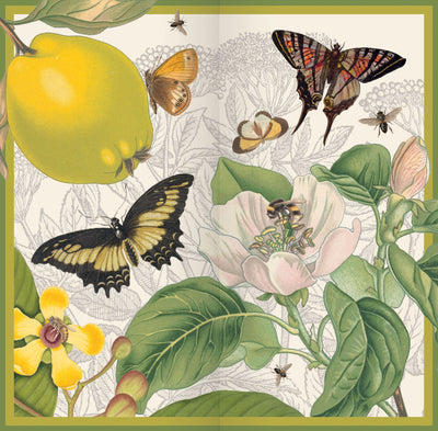 Illustration of butterflies, flowers, and leaves with a yellow fruit on a light background