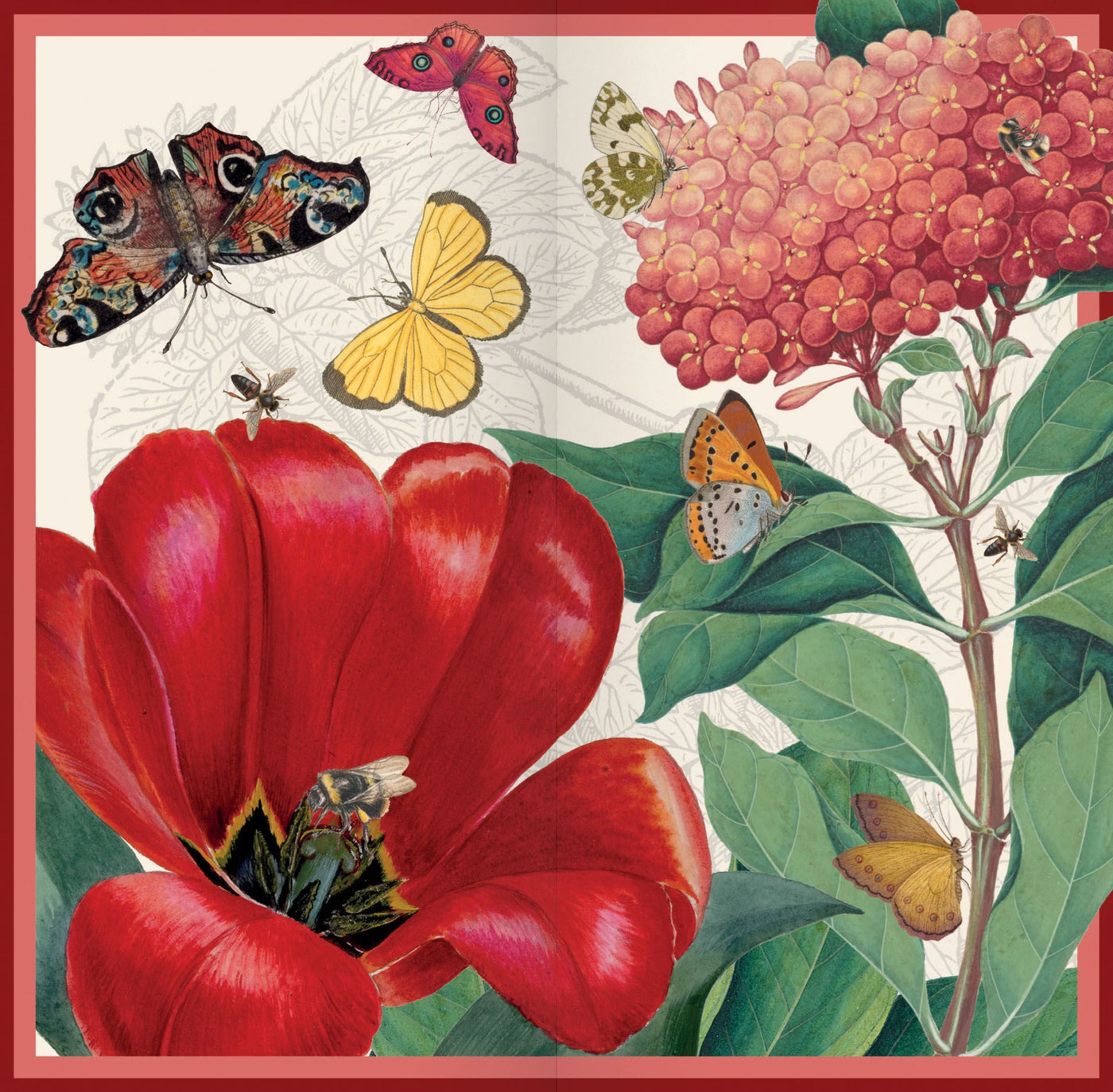Illustration of a red flower with a bee, surrounded by butterflies and flowers.