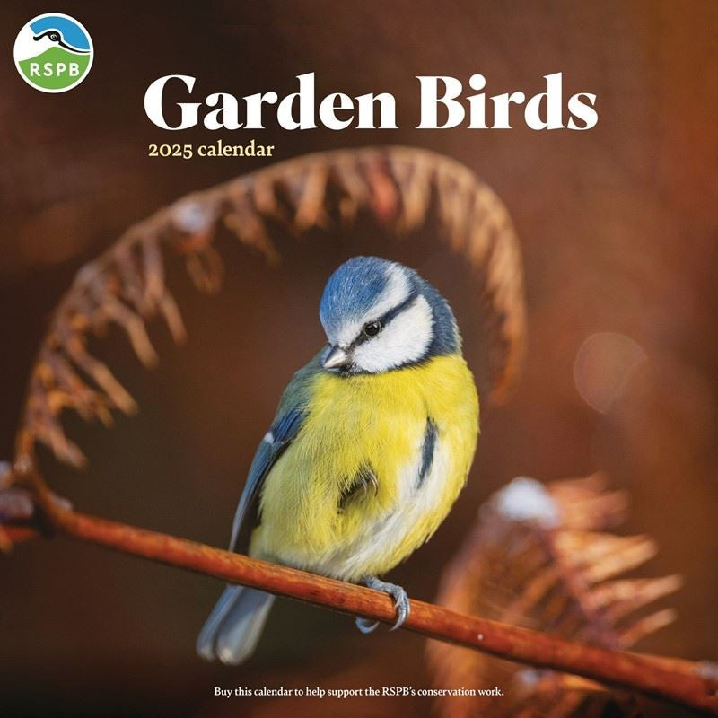 RSPB Garden Birds Wall Calendar 2025-Books-Ohh! By Gum - Shop Sustainable