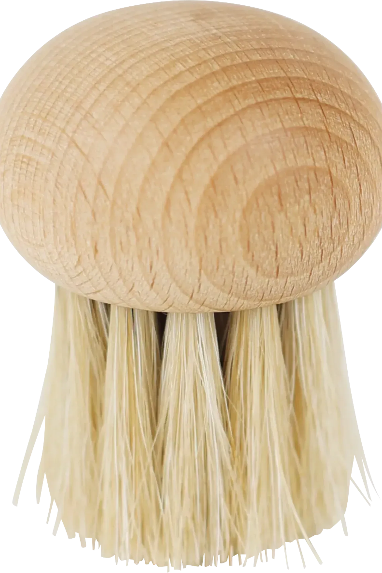 Redecker Mushroom Brush