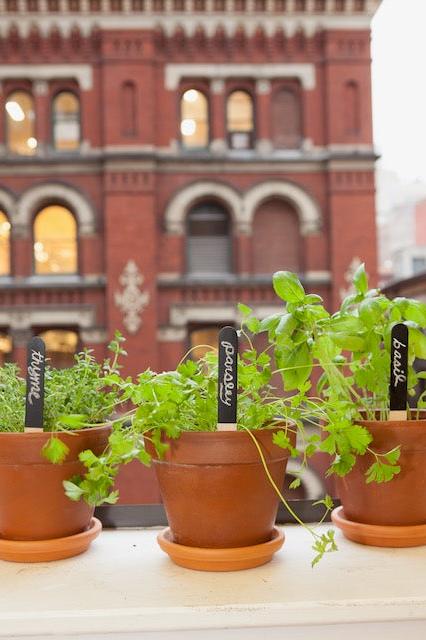Reusable Garden Markers - Set of 12 - Kitchen Garden - Flower Bed-Homeware-Ohh! By Gum - Shop Sustainable