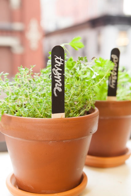 Reusable Garden Markers - Set of 12 - Kitchen Garden - Flower Bed-Homeware-Ohh! By Gum - Shop Sustainable