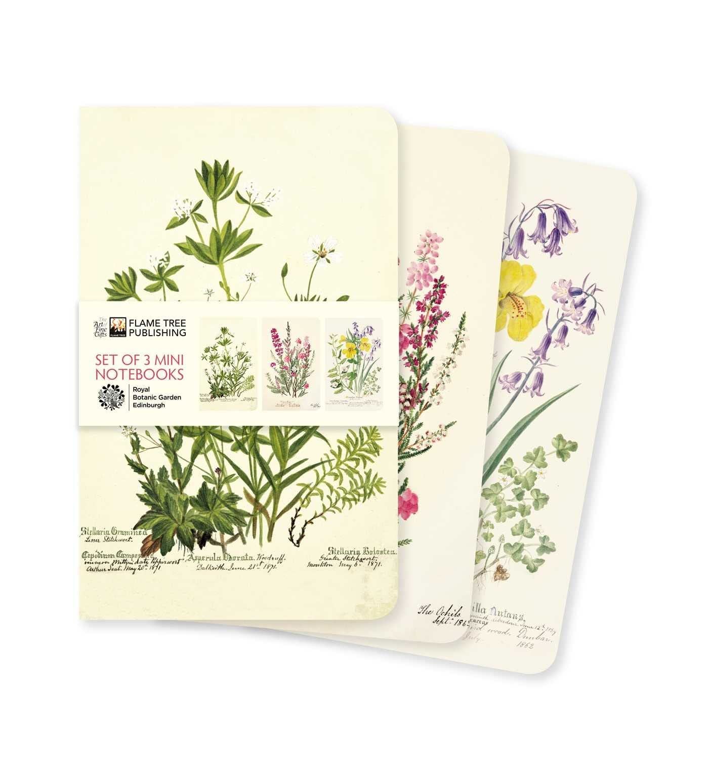 Royal Botanic Garden Edinburgh Mini Notebooks Set (PB)-Books-Ohh! By Gum - Shop Sustainable