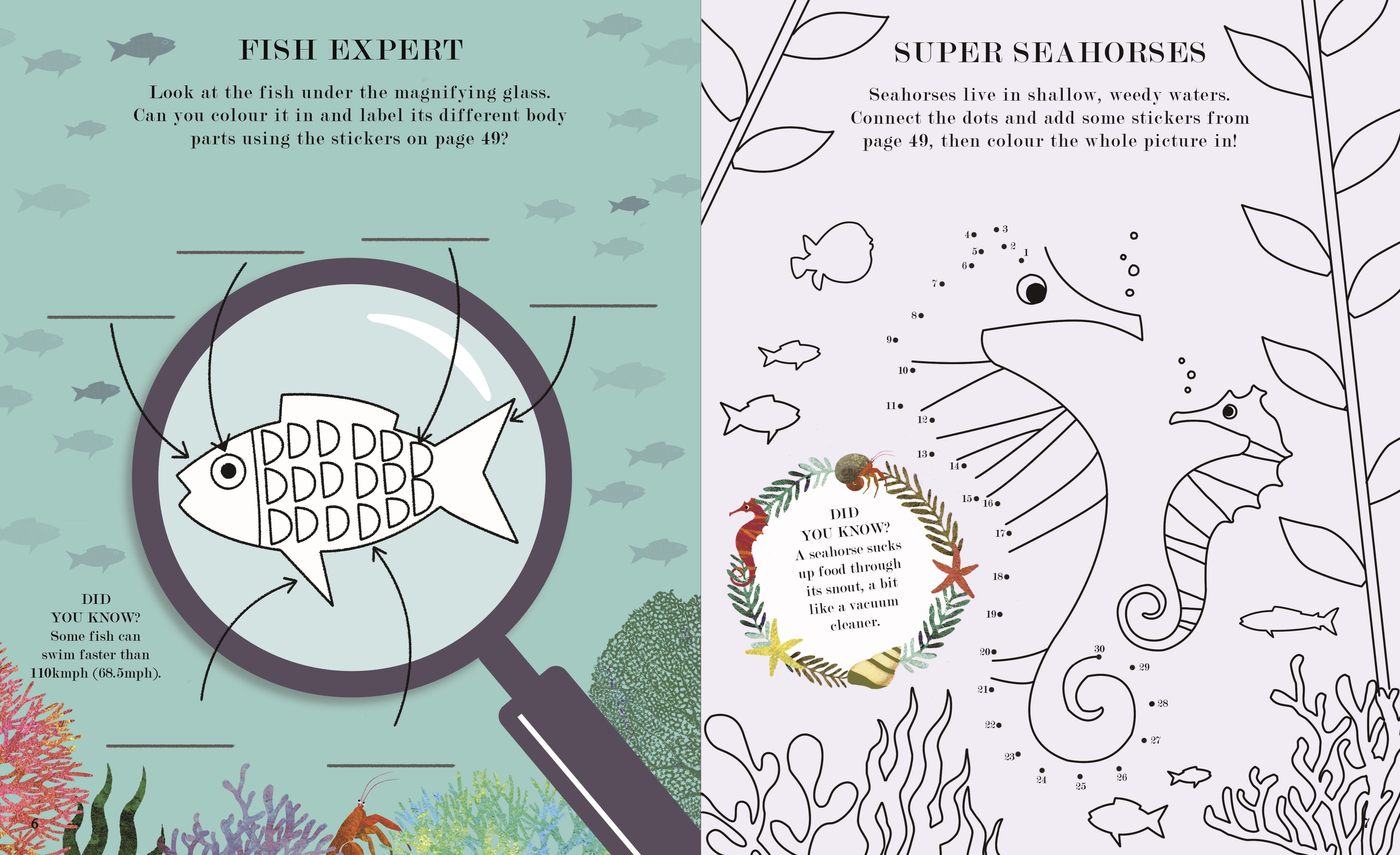 SEA: A WORLD BENEATH THE WAVES ACTIVITY BOOK (PB)