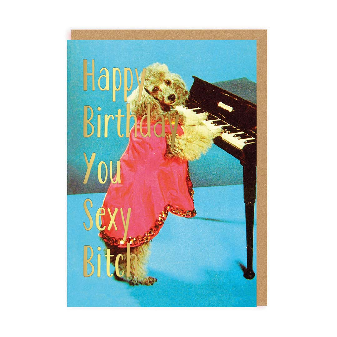 Ohh Deer Sexy Bitch Happy Birthday Card