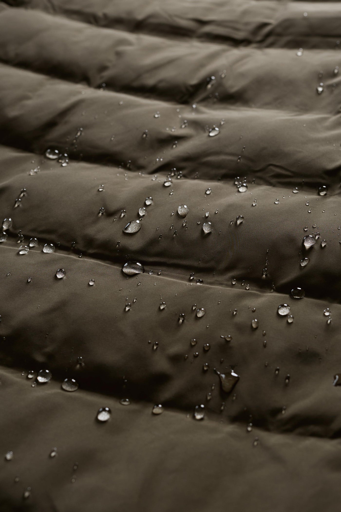 Seasalt Keser Coat Moorland