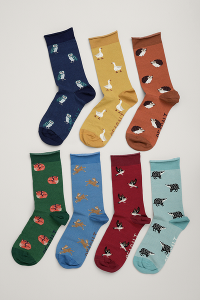 Seasalt Women's Sailor Socks Box of 7 Creatures in Deer Trail Mix-Womens-Ohh! By Gum - Shop Sustainable