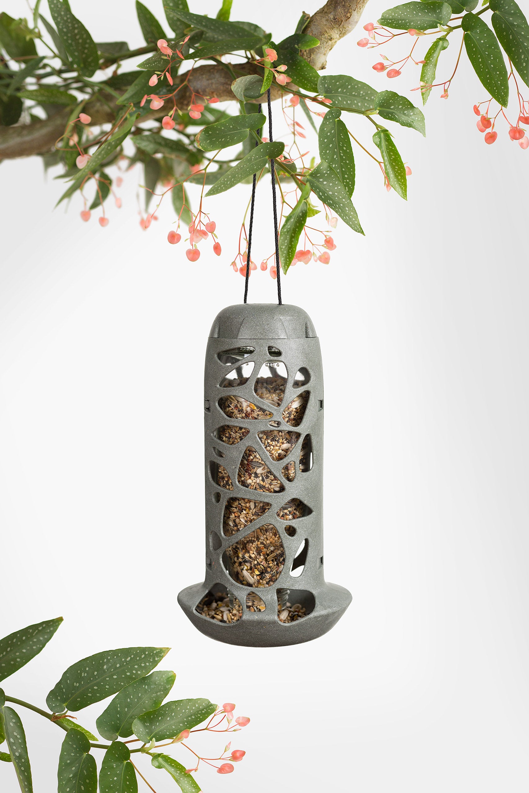 Hanging bird feeder with seeds on a white background