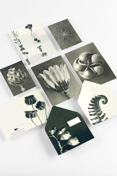 The Pepin Press COR Wonders of Nature (Karl Blossfeldt)