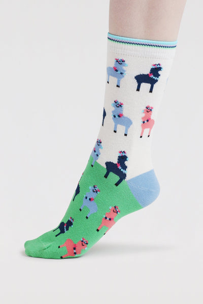 Thought Clara Rainbow Llama Organic Cotton Socks - Apple Green-Womens-Ohh! By Gum - Shop Sustainable