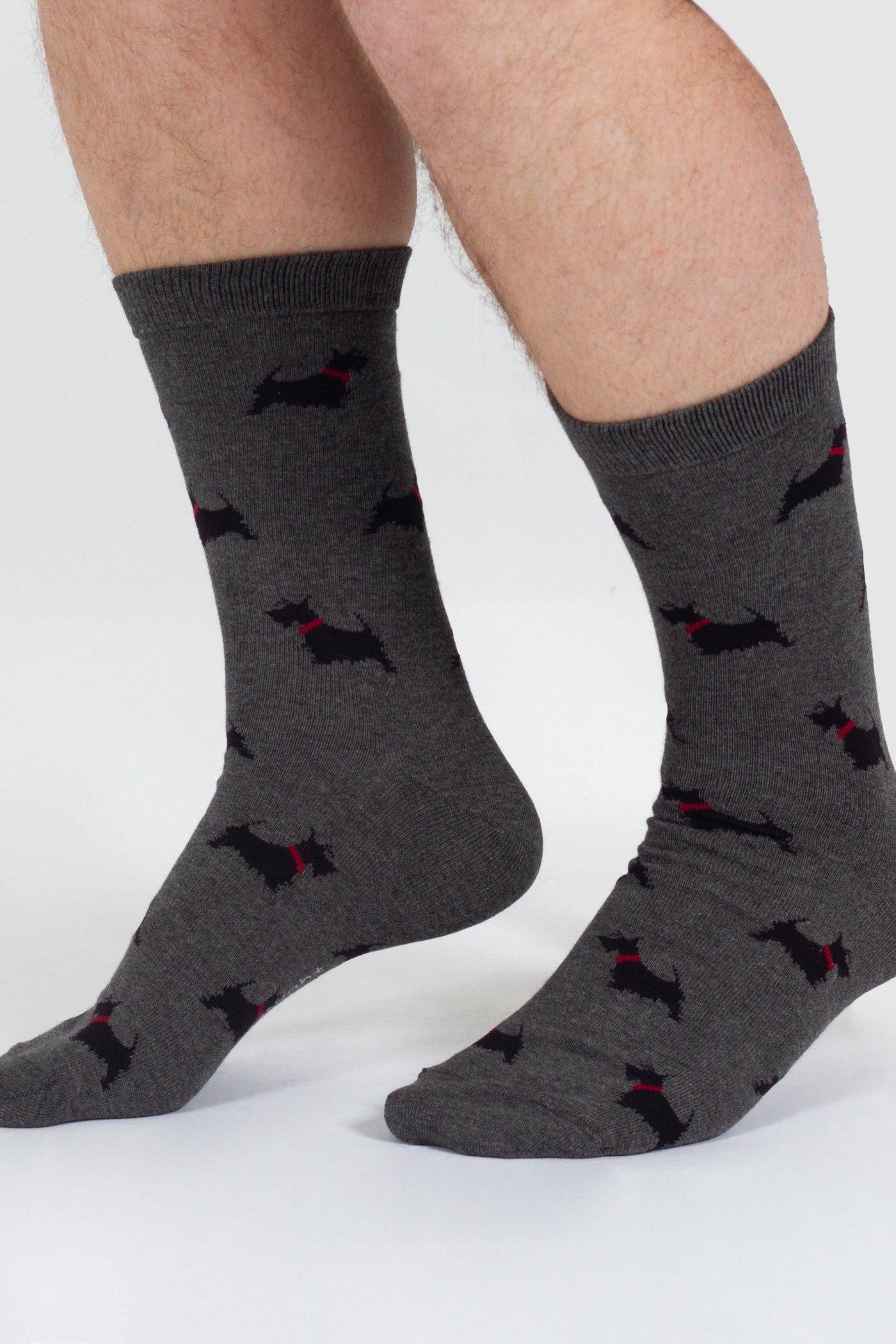 Thought Doggy Bamboo Crew Socks in Grey/Scottish Terrier-Mens-Ohh! By Gum - Shop Sustainable