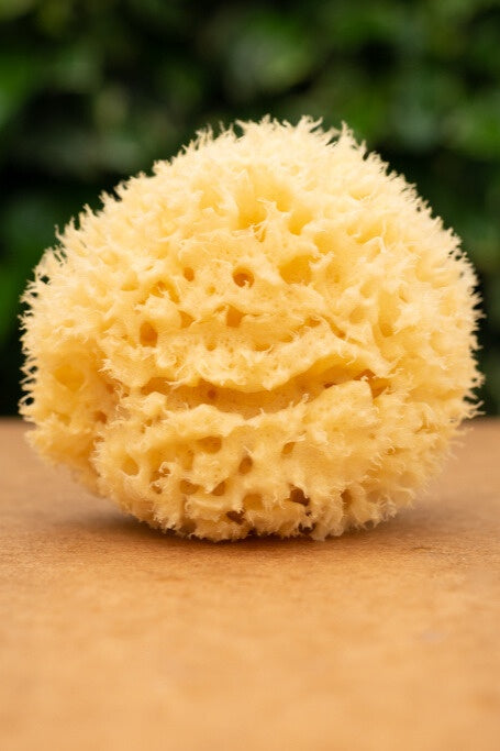 Three Hills Natural Sea Sponge-Toiletries-Ohh! By Gum - Shop Sustainable