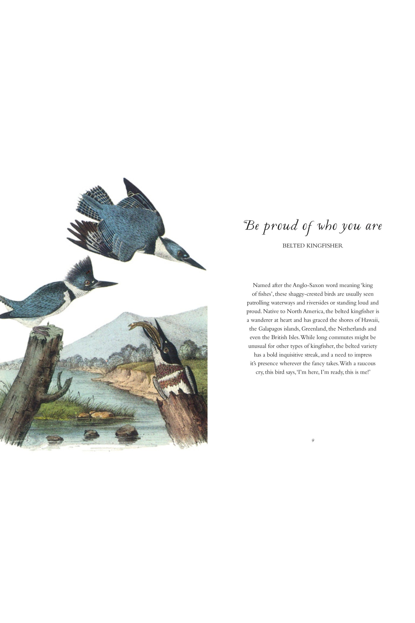 WISDOM OF BIRDS: ESSENTIAL LIFE LESSONS (HB)-Books-Ohh! By Gum - Shop Sustainable