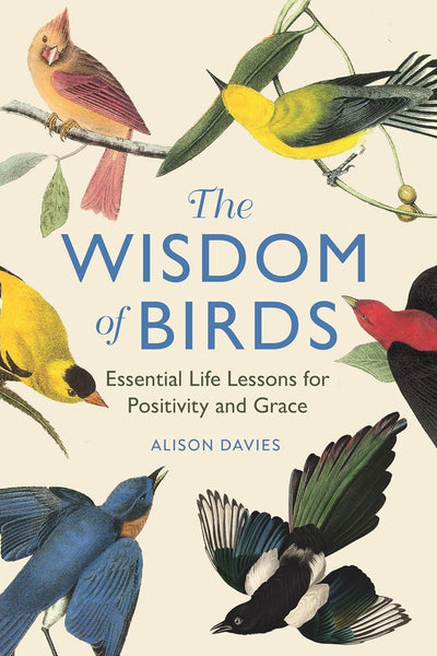 WISDOM OF BIRDS: ESSENTIAL LIFE LESSONS (HB)-Books-Ohh! By Gum - Shop Sustainable