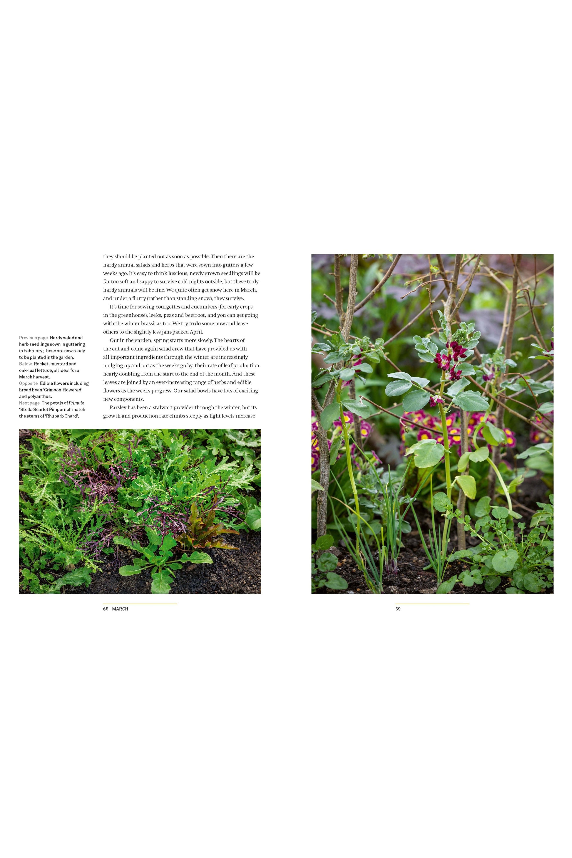 YEAR FULL OF VEG: A HARVEST FOR ALL SEASONS (HB)-Books-Ohh! By Gum - Shop Sustainable