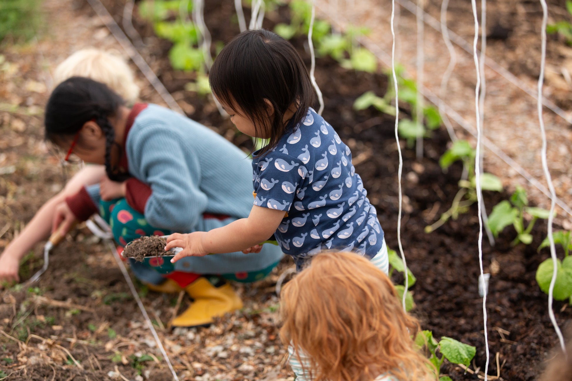 Two children gardening in a garden with soil and plants around them.