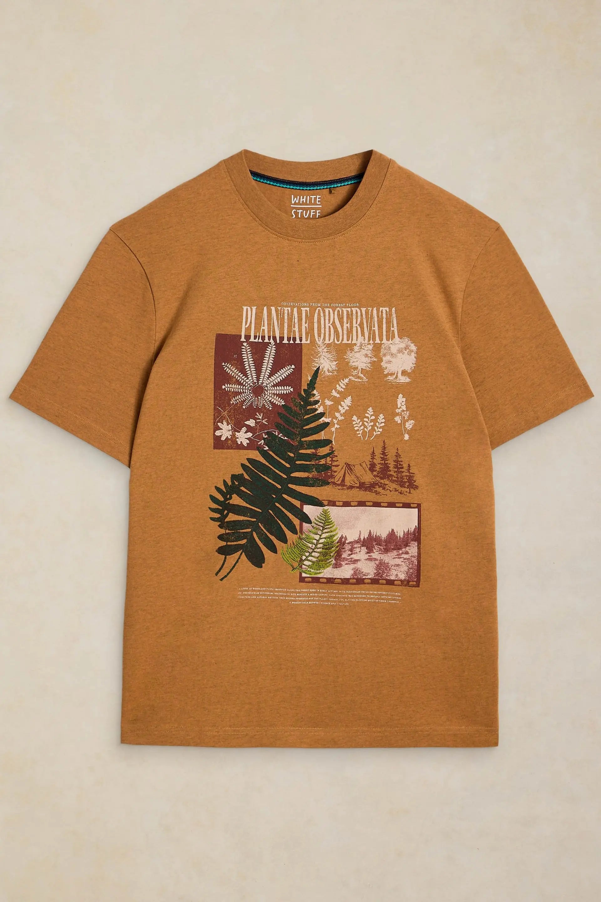 White Stuff Horsham Graphic T-Shirt - Tan Print