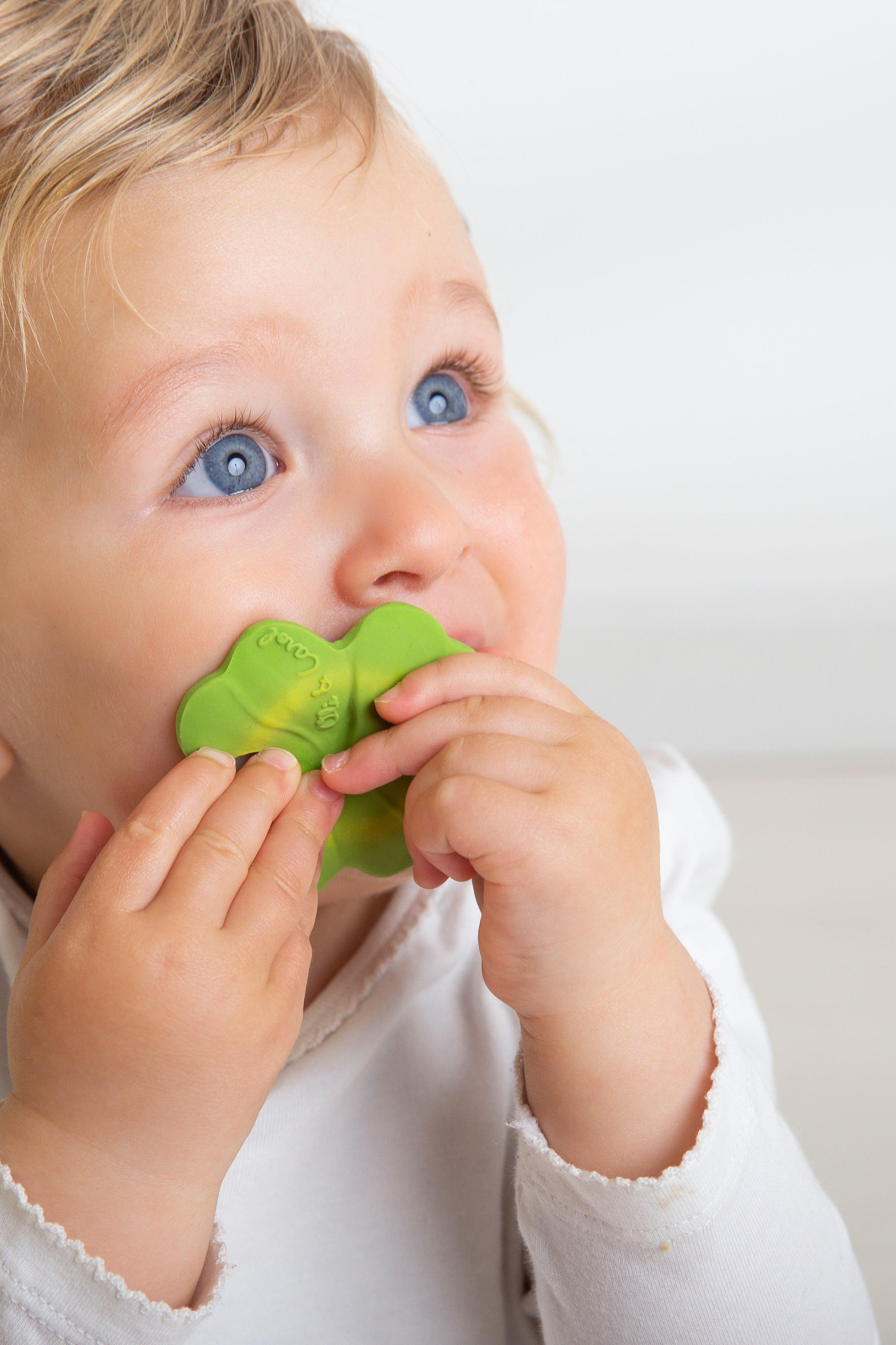 Oli & Carol Eli the Clover Natural Rubber Teether