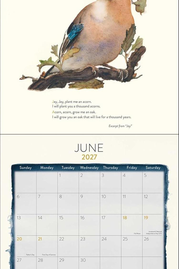 A watercolour painting of a Eurasian Jay holding an acorn, featured on a June 2027 calendar page.