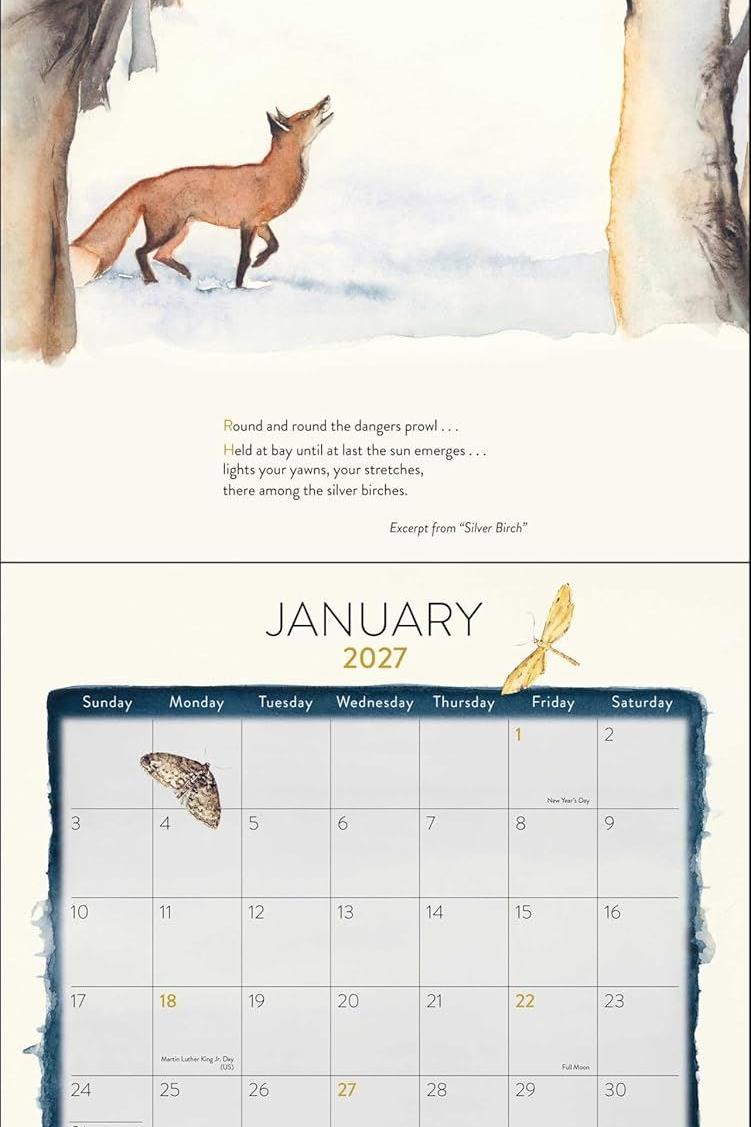 Watercolour art calendar page for January 2027 featuring a fox in a silver birch forest.