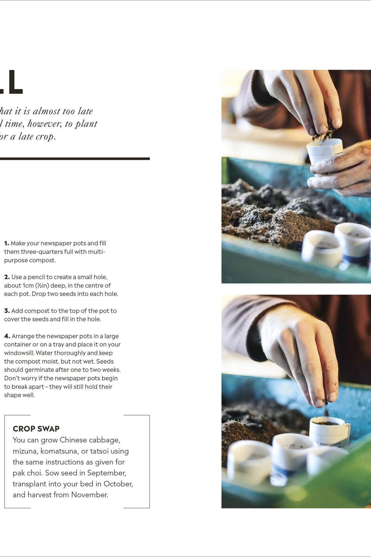 Step-by-step guide from a gardening book showing how to sow pak choi seeds in newspaper pots.
