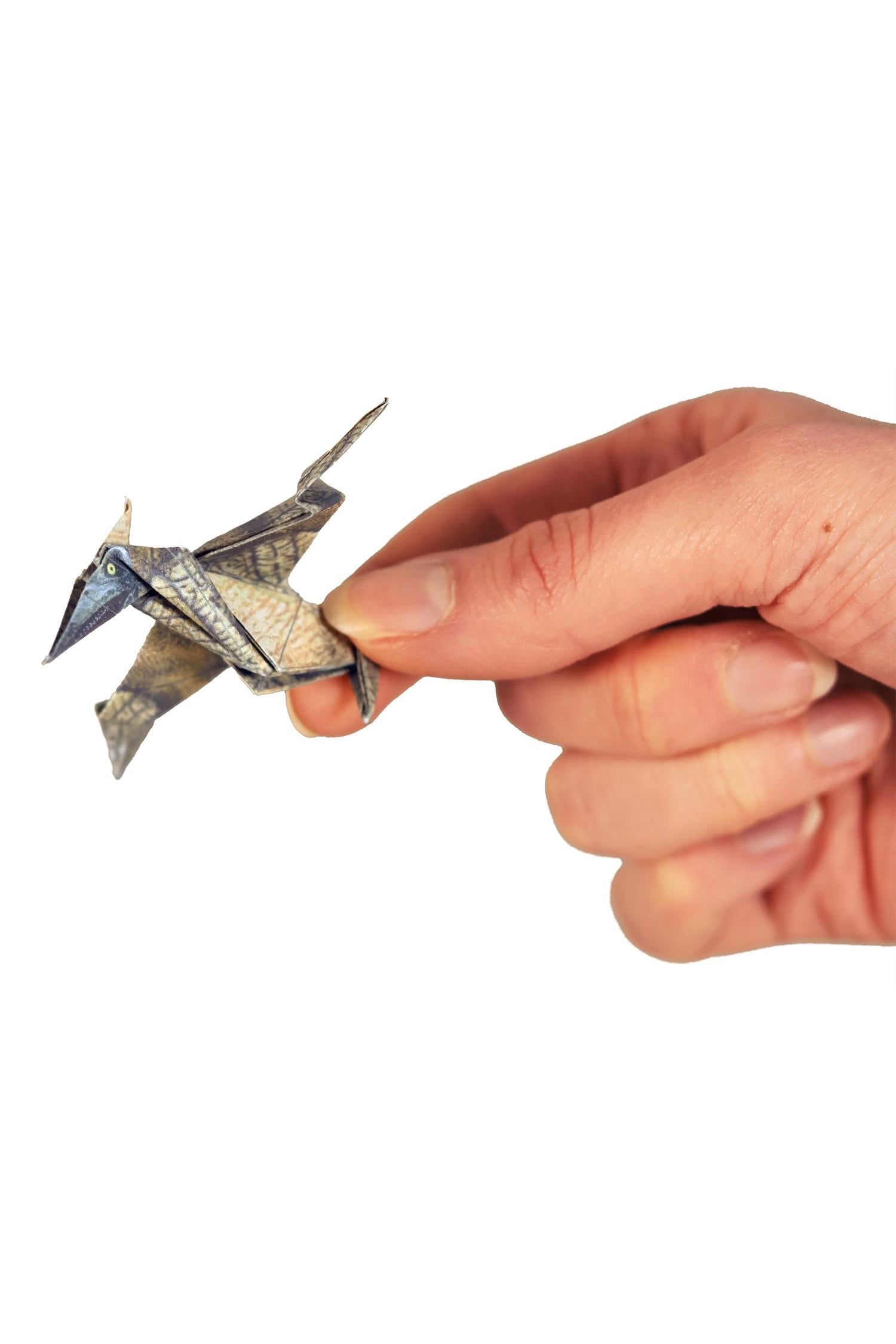Hand holding a small origami dinosaur on a white background