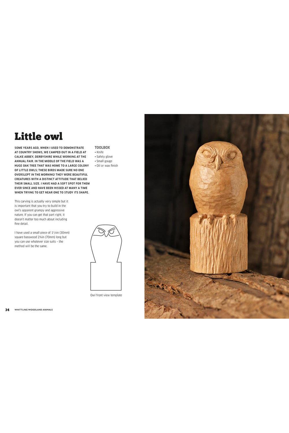 Wooden owl sculpture on a natural background with text and diagram on the left.