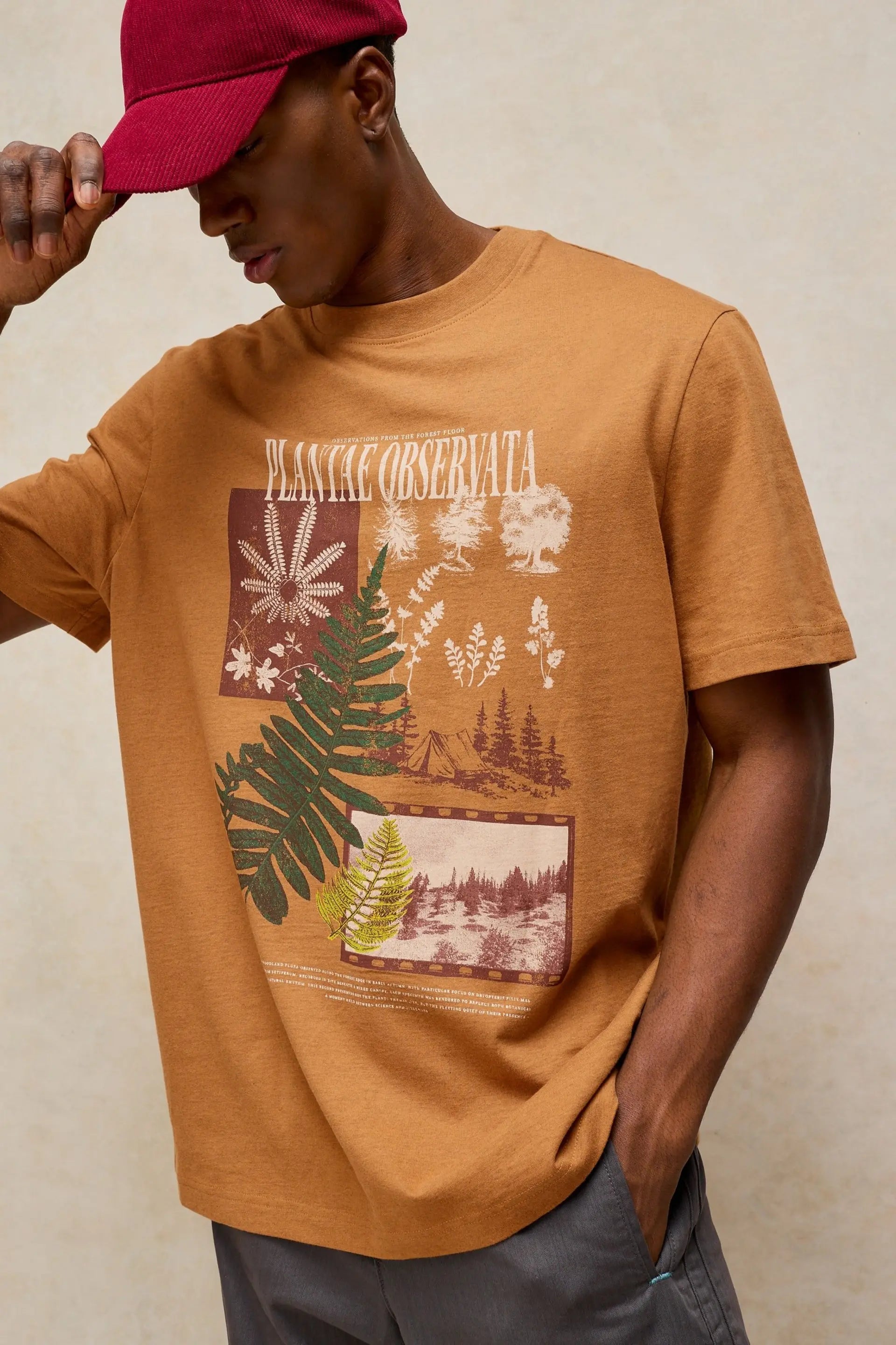 White Stuff Horsham Graphic T-Shirt - Tan Print