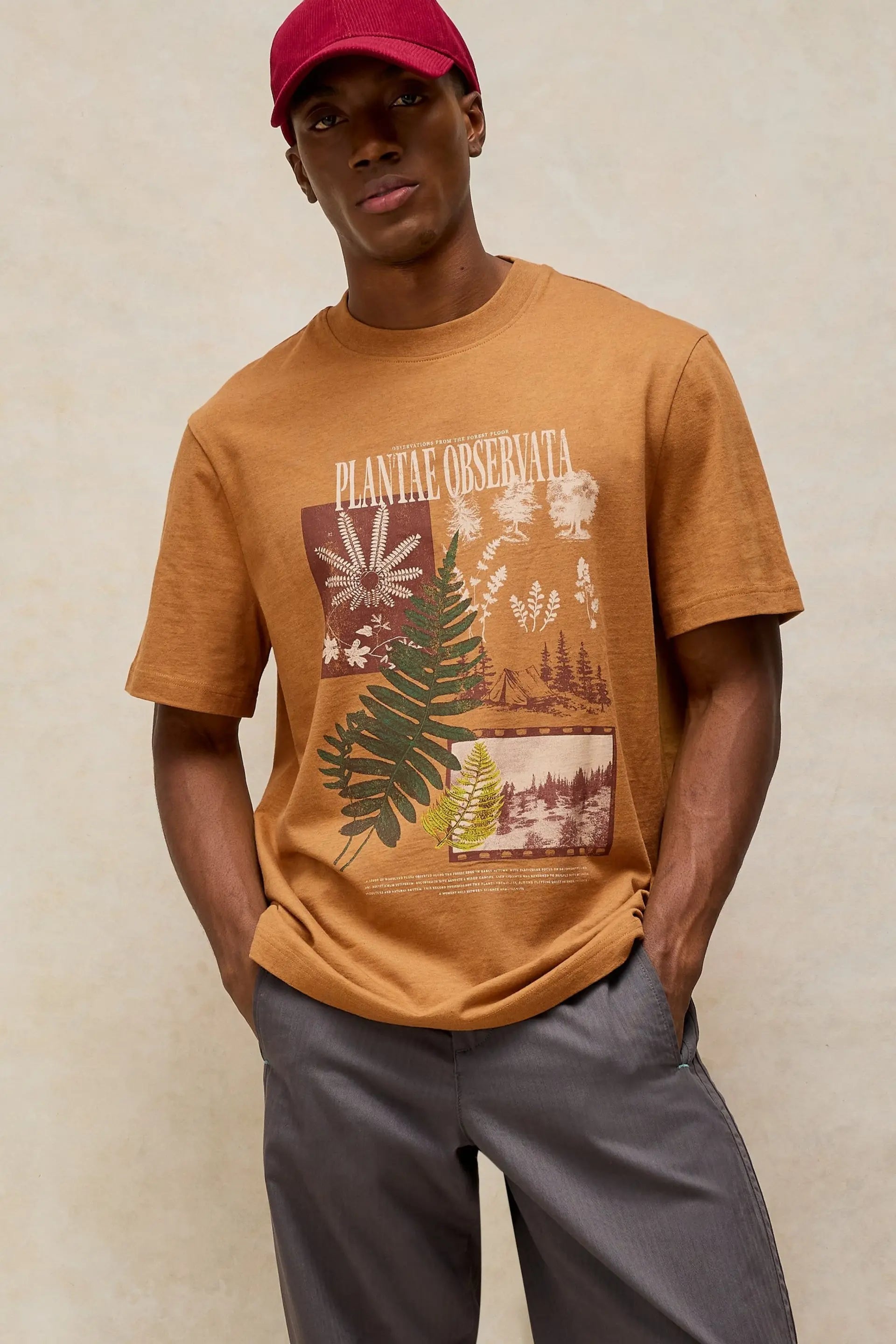 White Stuff Horsham Graphic T-Shirt - Tan Print