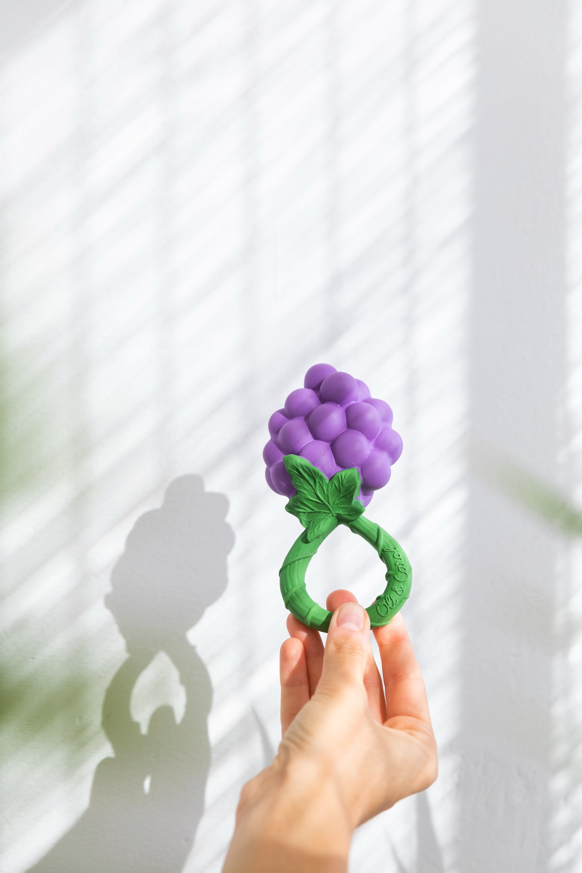 Hand holding a purple and green teething ring with grapes against a white background