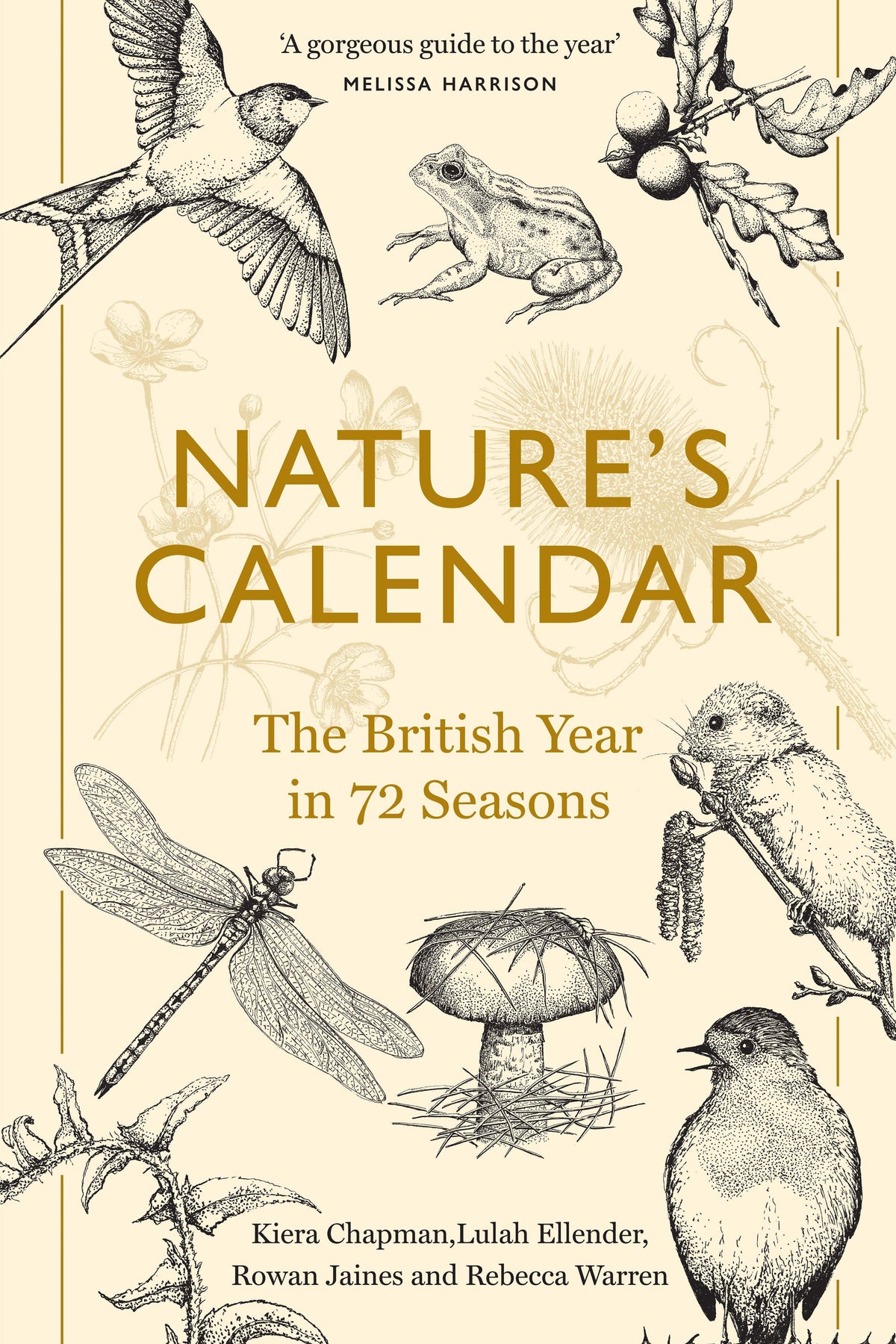 Book cover for Nature's Calendar featuring ink illustrations of British wildlife including a swallow, frog, and robin.