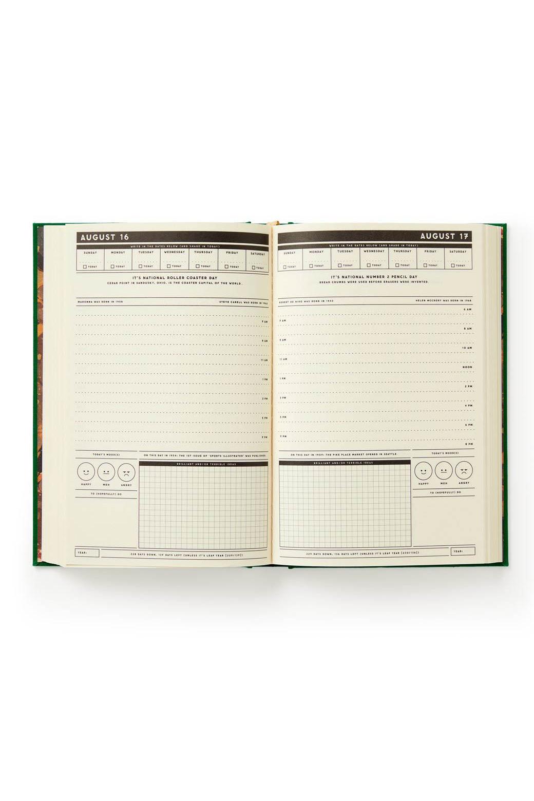 Open daily planner diary with hourly schedule and mood tracker sections.