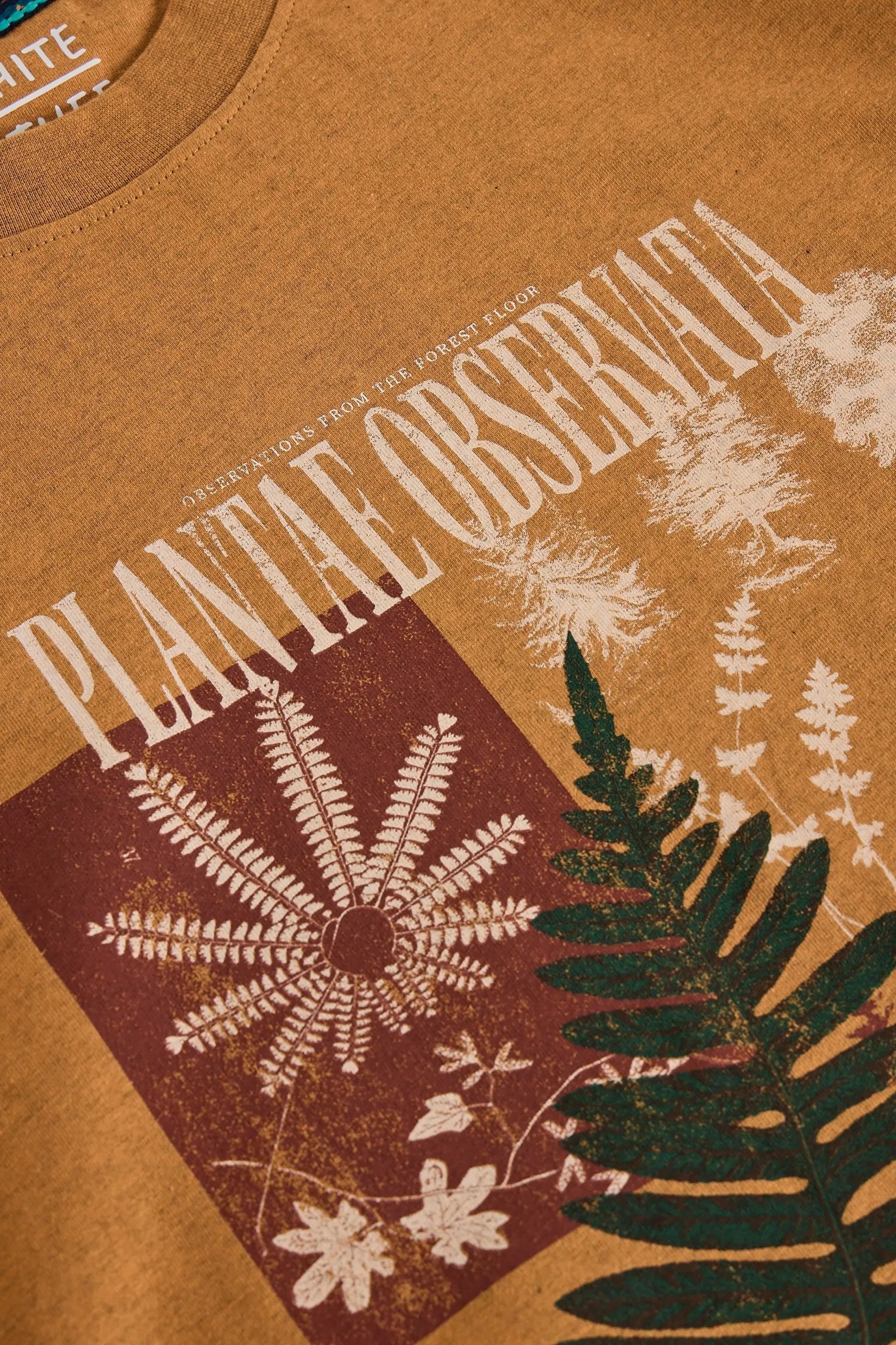 White Stuff Horsham Graphic T-Shirt - Tan Print