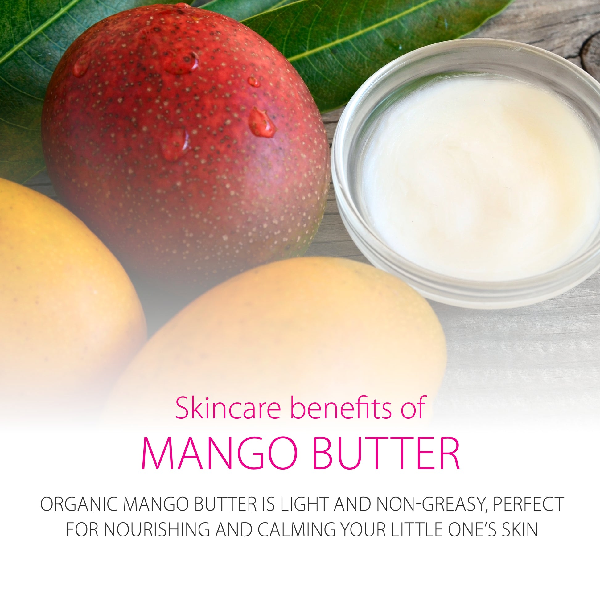 Mango and a container of mango butter with text about skincare benefits on a white background