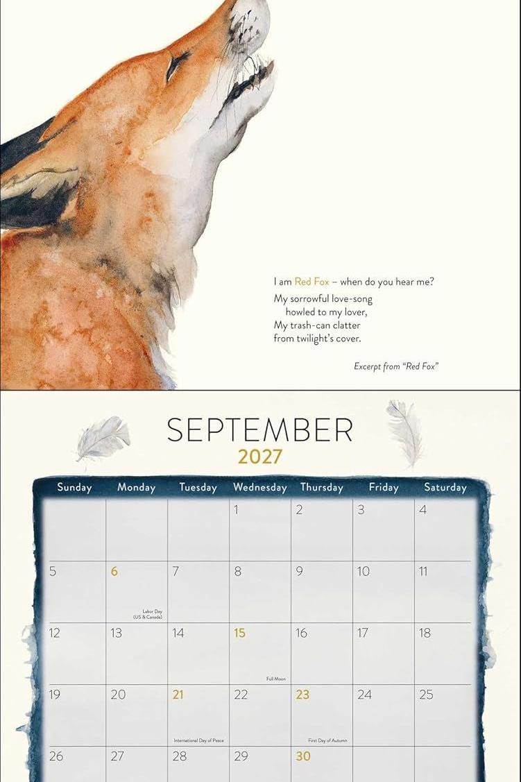 A watercolour painting of a red fox howling on a September 2027 calendar page.