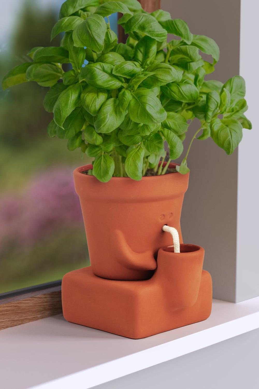 A terracotta-colored self-watering plant pot with a basil plant growing in it, placed on a white windowsill with a blurred outdoor background.